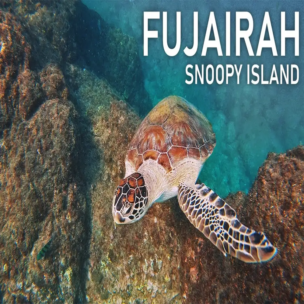 https://www.albaharhotelandresort.com/wp-content/uploads/2023/07/snoopy-island-fujairah-1.webp